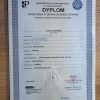 anna-leoniuk-dyplom-2-v2